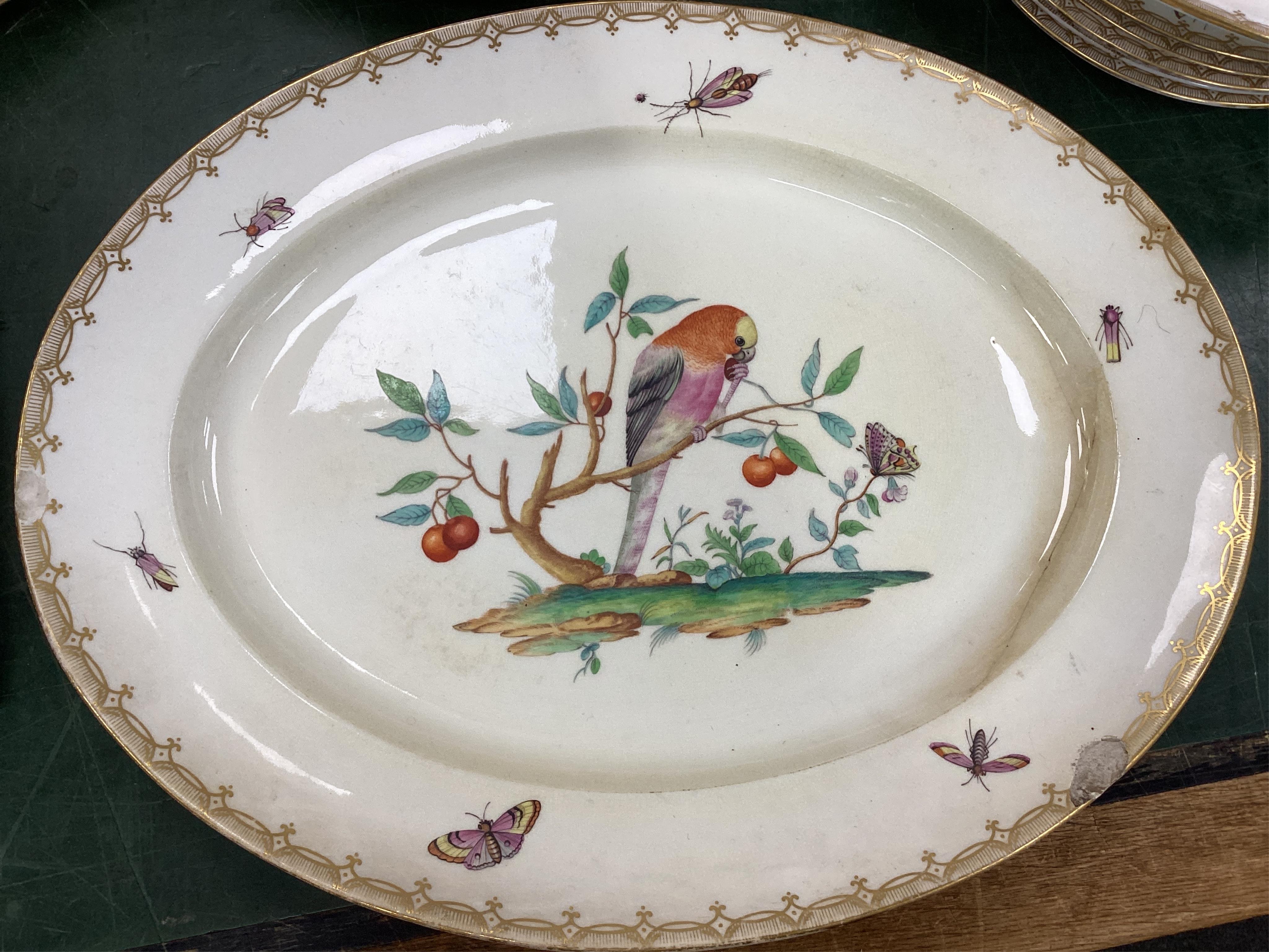 A Coalport bird painted part dinner service, mid 19th century